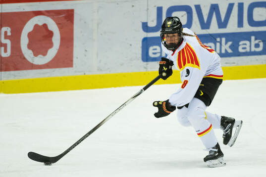 Brynäs Barbora Proskova
