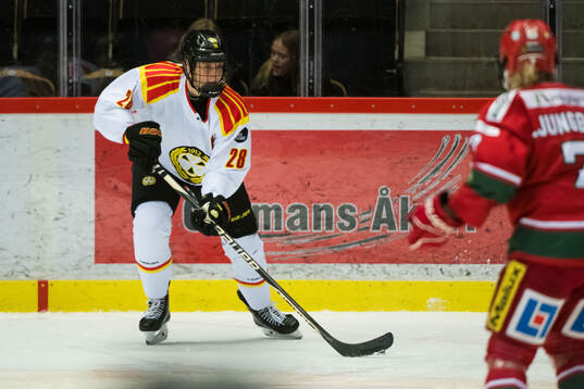 Brynäs Jenny Antonsson