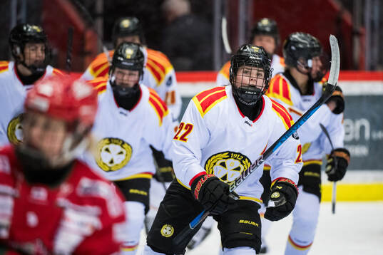 Brynäs Hanna Thuvik