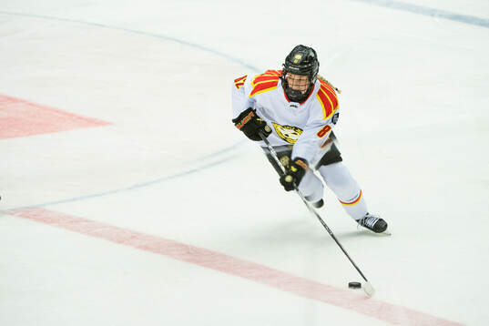 Brynäs Annie Silén