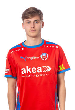 Helsingborgs Daniel Bergman
