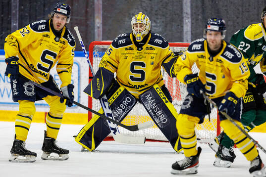 Södertäljes målvakt Tomas Sholl