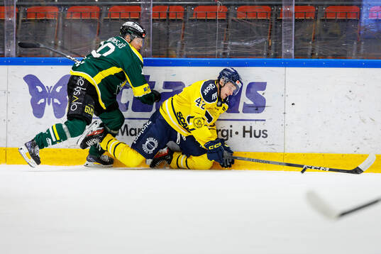 Södertäljes Ludvig Hedström