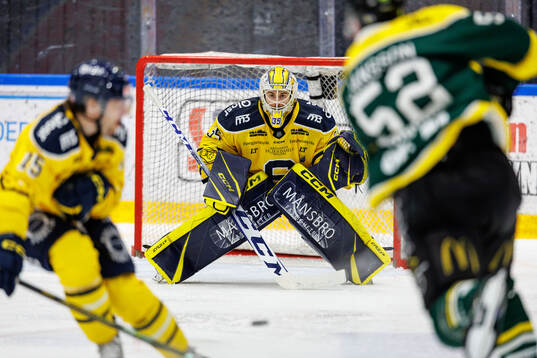 Södertäljes målvakt Tomas Sholl