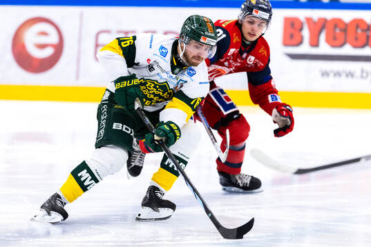 Björklövens Sakke Hämäläinen