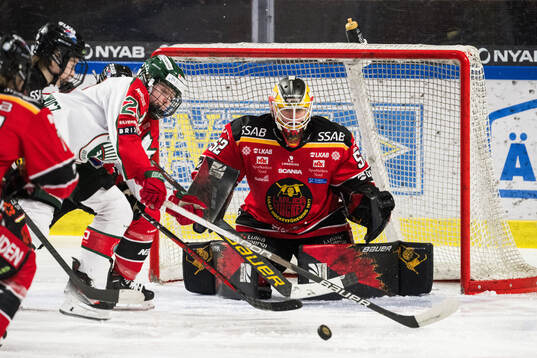Luleås målvakt Sara Grahn