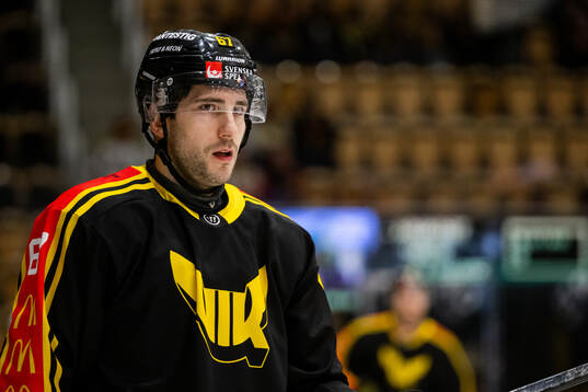 Västerås Konstantin Komarek