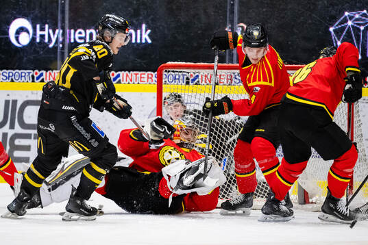 Brynäs målvakt Damian Clara