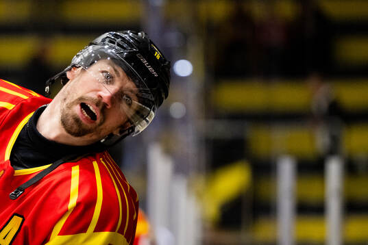 Brynäs Anton Rödin