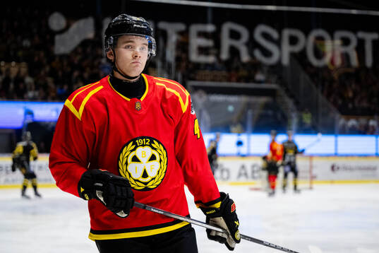 Brynäs Theo Lindstein