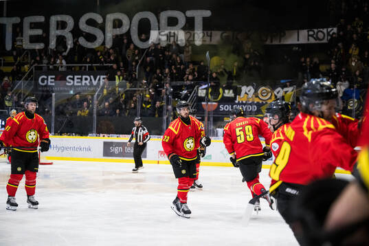 Brynäs Tyler Vesel