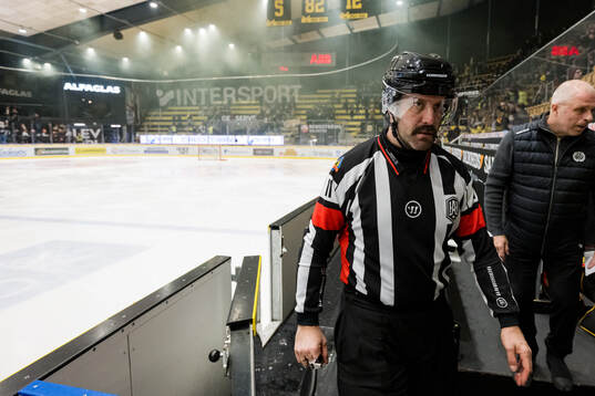 Domare Daniel Westner lämnar isen