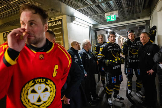 Brynäs Johan Larsson, Västerås Isak Skedung , Konstantin