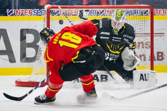 Brynäs Anton Rödin och Västerås målvakt Niklas
