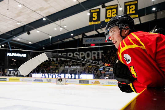 Brynäs Theo Lindstein