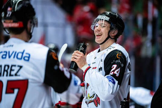 Malmö Redhawks Anton Wahlberg