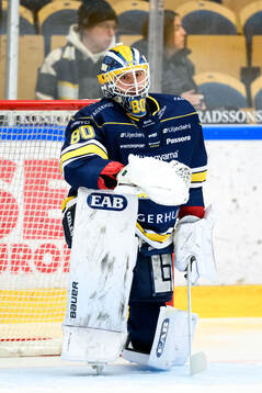 HV71s målvakt Frederik Dichow