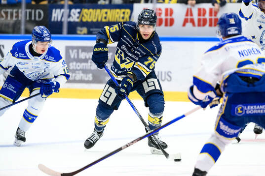 HV71s Radan Lenc