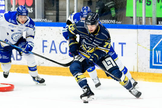 HV71s Radan Lenc