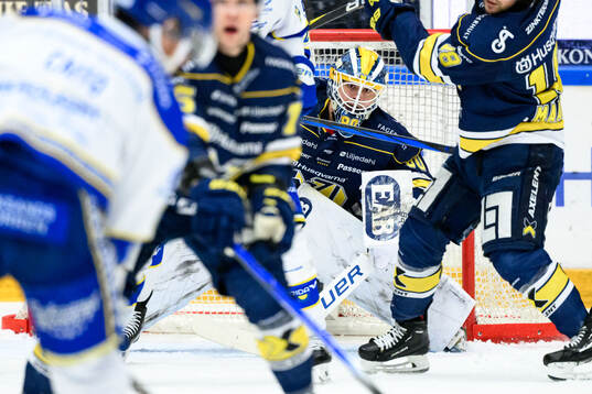 HV71s målvakt Frederik Dichow