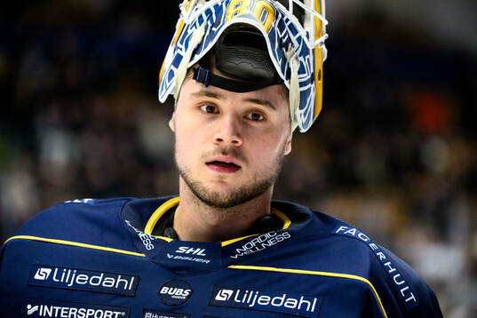 HV71s målvakt Frederik Dichow