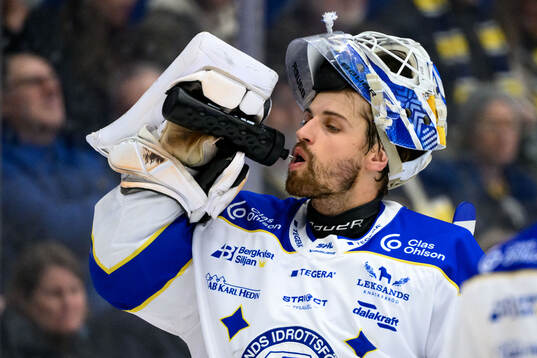 Leksands målvakt Mantas Armalis