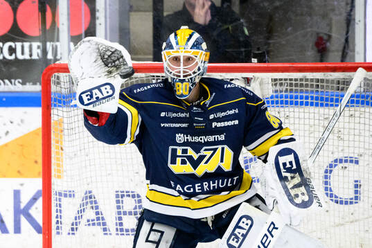 HV71s målvakt Frederik Dichow