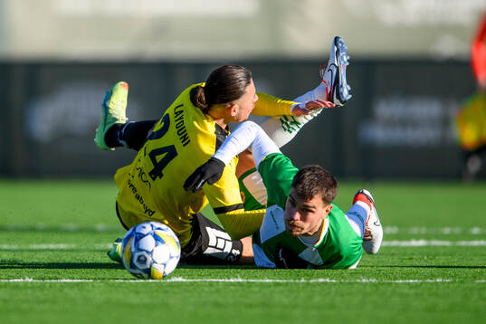 Bläddra bland fler bilder av Fotboll, Träningsmatch, Häcken - Hammarby