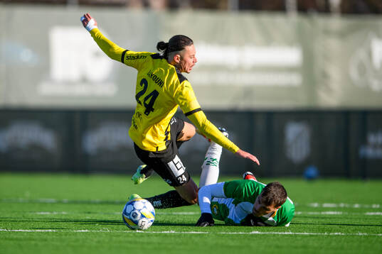 Häckens Amor Layouni och Hammarbys Pavle Vagic