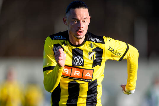 Häckens Amor Layouni