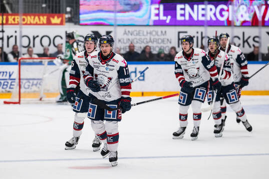 Linköpings Sebastian Strandberg jublar
