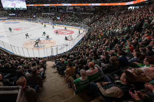 Vy över ett fullsatt Catena Arena
