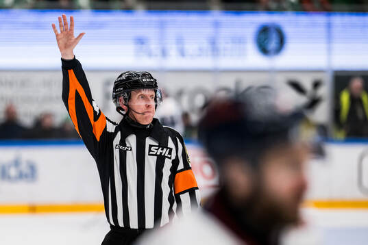 Domare Mikael Holm