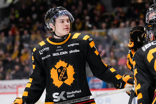 Skellefteås Axel Sandin Pellikka