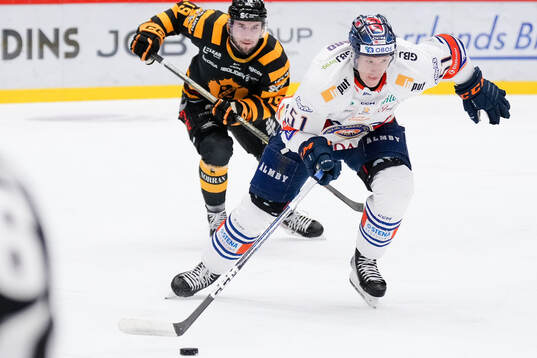 Skellefteås Martins Dzierkals och Växjös Emil Sylvegård
