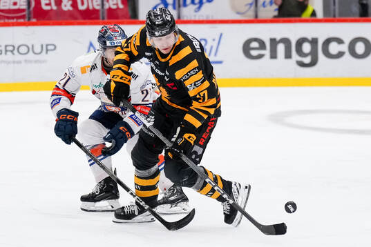 Växjös Brian Cooper och Skellefteås Pär Lindholm