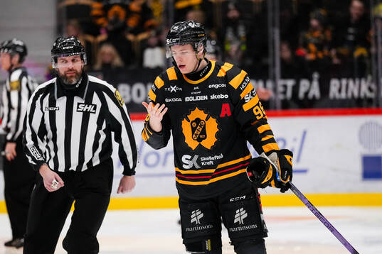 Skellefteås Rickard Hugg