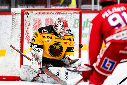 Luleås målvakt Matteus Ward