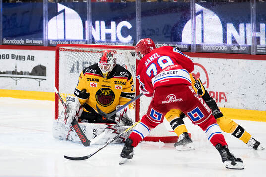 Luleås målvakt Matteus Ward