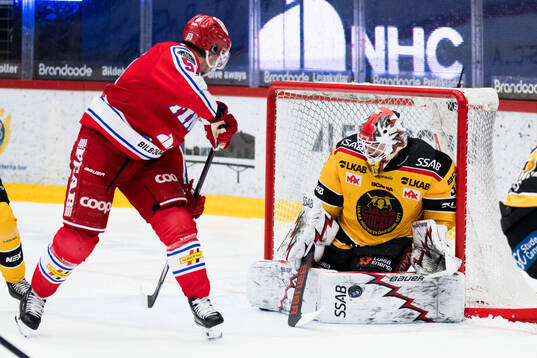 Timrås Anton Lander och Luleås målvakt Matteus Ward