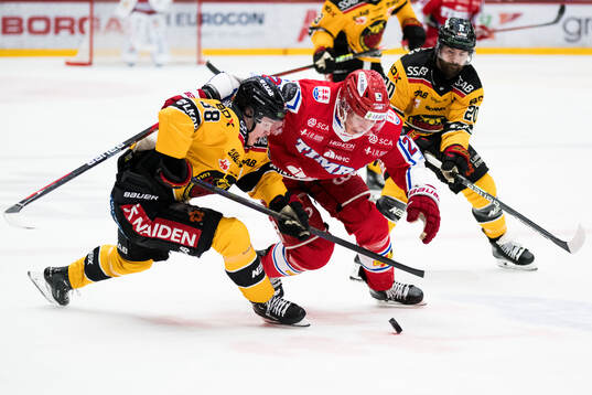 Bläddra bland fler bilder av Ishockey, SHL, Timrå - Luleå