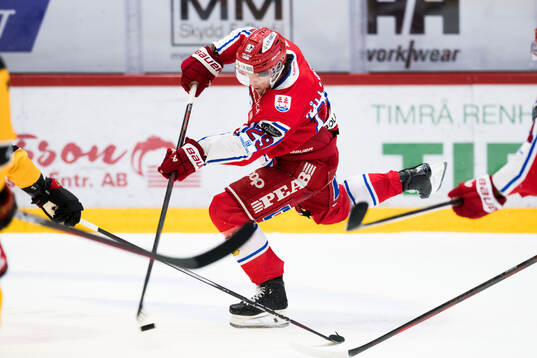 Timrås Filip Hållander