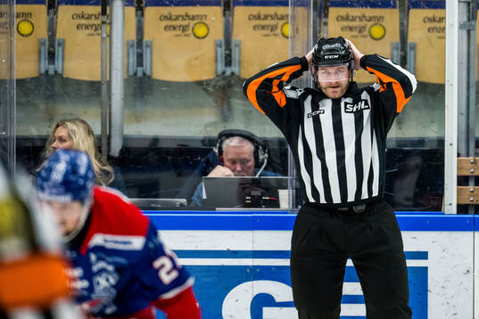 Domare Daniel Eriksson
