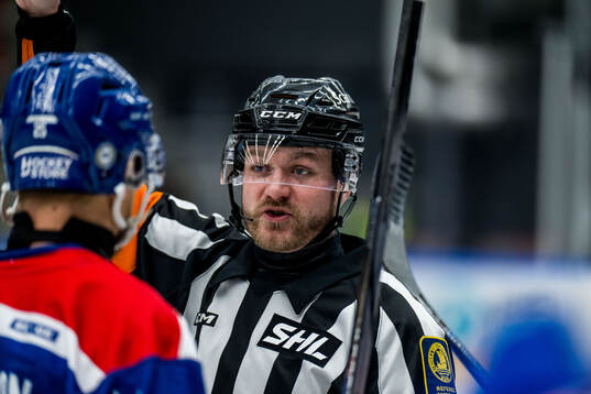 Domare Daniel Eriksson