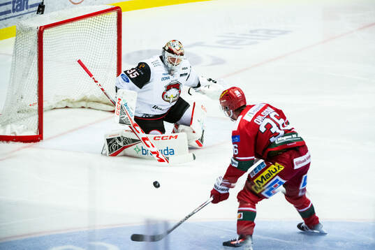 Malmö Redhawks målvakt Adam Werner och MoDos Sebastian
