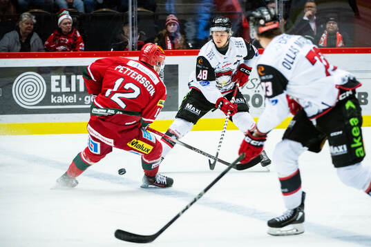 Malmö Redhawks Lauri Pajuniemi