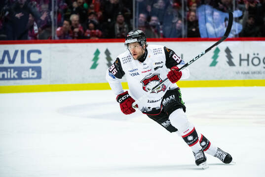 Malmö Redhawks Carl Persson