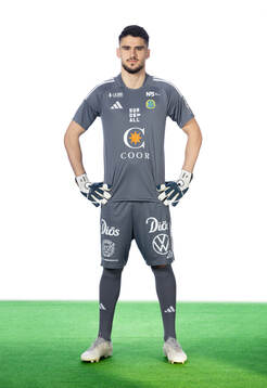 Sundsvalls Daniel Henareh