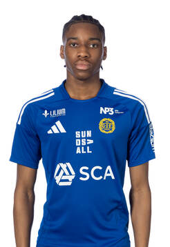 Sundsvalls Ahmed