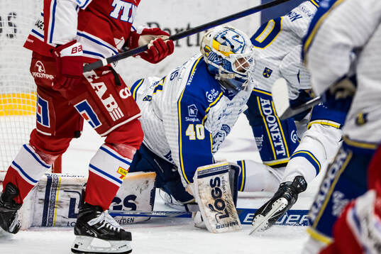 Leksands målvakt Mantas Armalis